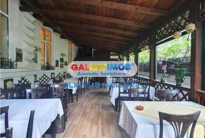 RESTAURANT DE INCHIRIAT CISMIGIU BERTHELOT - 19