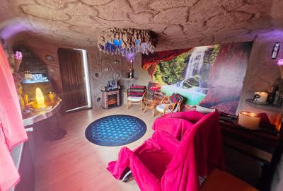Vilă premium 5 camere cu salină și garaj | Coțofenești - 29