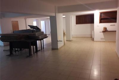 Spatiu Comercial - 450 mp - Piata Cibin - Clinica Medicala - IT - Servicii - 11