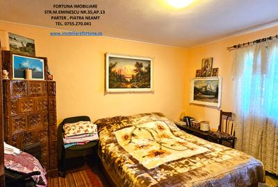 Proprietate cu 6329 mp teren intravilan,Casa P+1 si anexe, Alexandru cel Bun - 5