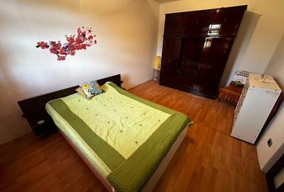 De vanzare, casa + teren 2000mp sat. Calienii Noi - 11