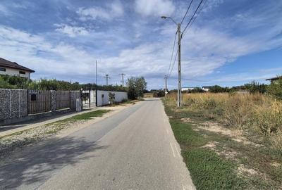 Teren intravilan 700 mp la Asfalt aproape de Centrul orasului Magurele - 3