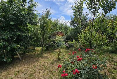 Casă / Vilă cu 900 teren intravilan, Salcea, Suceava - 59