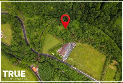 Teren intravilan 2.800 m² în Câmpu Cetății – liniște și natură - 4