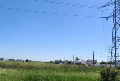 Teren intravilan 10.000 mp, Sabareni, Giurgiu | Deschidere 33 ml | Pozitie excel - 6