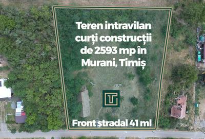 Teren intravilan de 2593 mp, pe deal, cu vedere catre sat, in Murani - 2