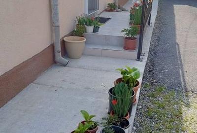 Casă de Vânzare în Codlea, Strada Nouă - Comision 0% - 9