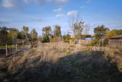 Teren Construcții intravilan de 1600 mp, în Cernele
