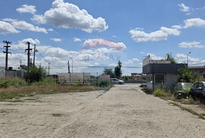 Hala si teren, depozitare, parcare-Spațiu industrial - 18