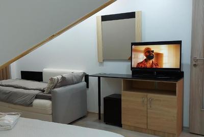 Apartament 2 camere vedere la Bucegi - 7