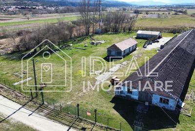 Teren Construcții intravilan de 8368 mp, în Mohu