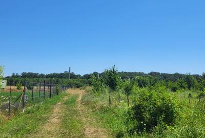 OCazie RARĂ – Teren premium lângă pădure, Izvorani! Padure ! - 1