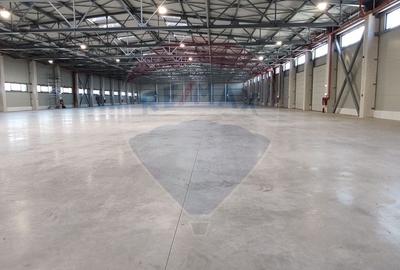 Spațiu industrial Clasa A - Otopeni Hala productie depozitare - 4
