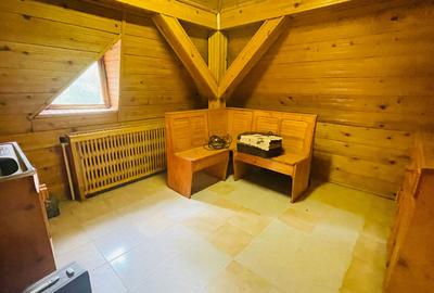 Casa spatioasa cu teren 739 mp in zona Mehala - 17