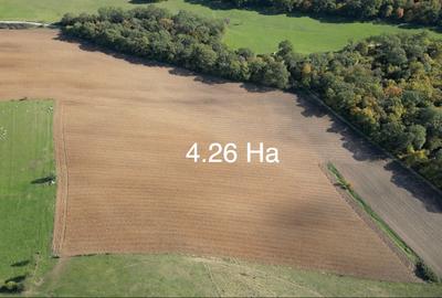 Teren agricol extravilan de 42600 mp, în Central