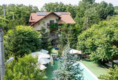 Vanzare vila-pensiune D+P+M 10 camere de vânzare, Daesti jud. Valcea - 52