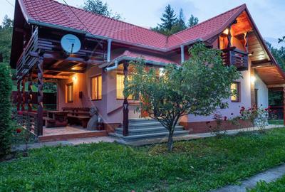 Casă / Vilă deosebită în SUCEVIȚA - 4