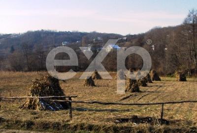 Teren intravilan 21.000 mp de vânzare – Suseni, Comuna Bogați, Județul Argeș - 4