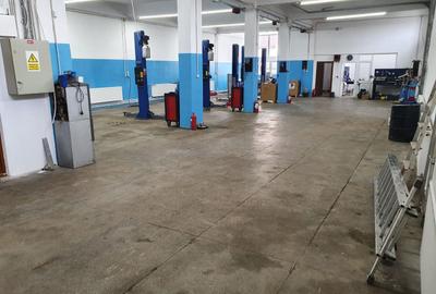 Service Auto de Închiriat | 300 mp | 5 Elevatoare | Dublu Acces - 1