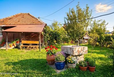 Curtea de Arges - Casa P+M, 270 mp, Teren 3149 mp - 22