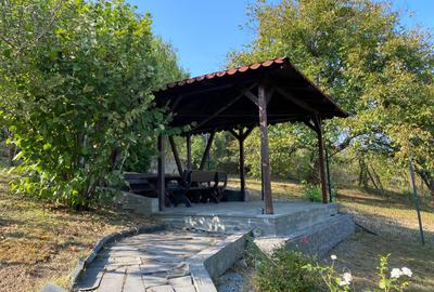 Vand casa in Deva, D+P+M, zona ultracentrala (la 600 metri de Casa de Cultura), - 5
