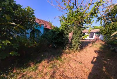 Teren de vânzare cu casă bătrânească!!! - 2