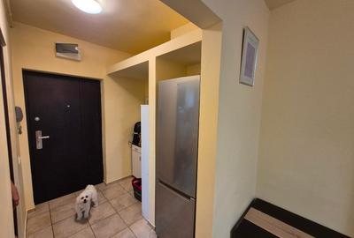 Ap 2 camere Gara de Nord - 11