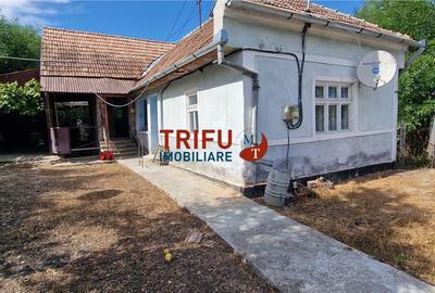 Casă individuală cu 3 camere în Hopârta