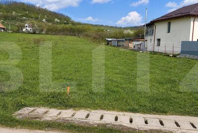 Teren Construcții intravilan de 2800 mp, în Aghireșu-Fabrici