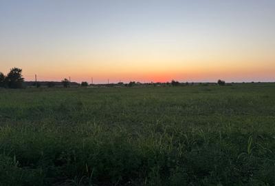 Teren agricol extravilan de 1000 mp, în Exterior Est