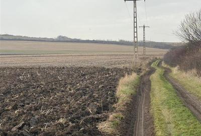 Teren agricol extravilan de 20300 mp, în Șura Mică