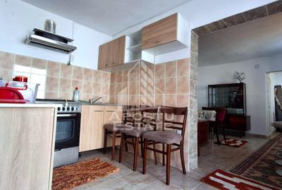 Casa de vanzare in Ineu formata din 2 cladiri - 30
