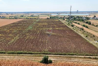 Teren 8.648 mp | Intravilan + extravilan | Deschidere 21 m | Mosteni - 5