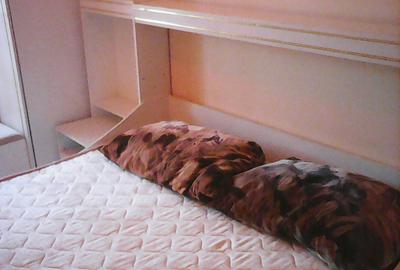 Grivitei, 2 camere mobilat, 400 euro - 3