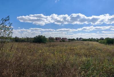 5.900 mp pentru Dezvoltare Rezidențială – Str. Polonă, Periș - 6
