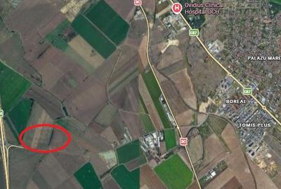 Teren agricol extravilan de 24940 mp, în Exterior Nord