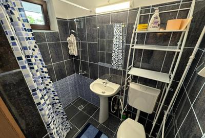 Apartament de inchiriat Parcul 1 Decembrie - 5
