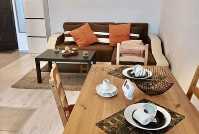 Apartament 2 camere tip studio Str Tineretului Chiajna - 2