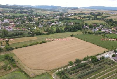 TEREN INTRAVILAN DE VÂNZARE – ȘOMCUTA MARE, MARAMUREȘ - 3