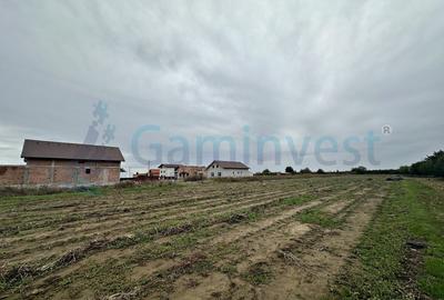 Teren Construcții intravilan de 11000 mp, în Biharia