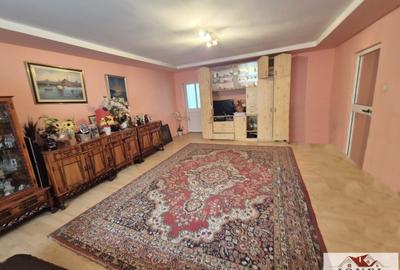Vanzare casa in Vintu de Jos - Parau lui Mihai - 3