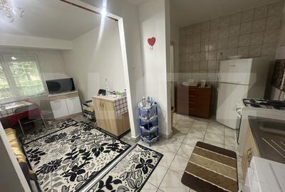 Apartament cu 2 camere semidecomandat, mobilat în Carpați 1