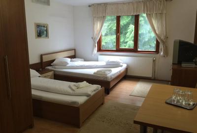 Vanzare cabana intr o zona de vis Petrosani Cheile Jietului - 10