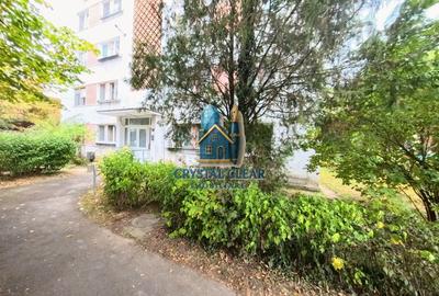 Apartament 3 camere și dependințe - cartierul Aleea Carpați - 12