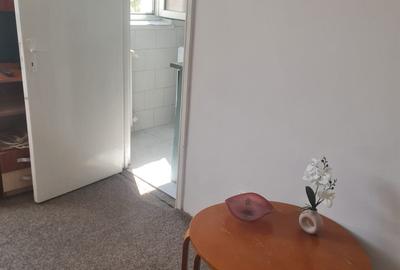 Garsoniera - zona Alexandru cel Bun - Aleea Musatini - Pet Friendly - 4