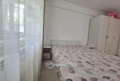 Apartament cu 2 camere semidecomandat, mobilat în Valea Lupului