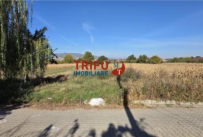 Teren de vanzare in Oarda la sosea cu toate utilitatile - 2
