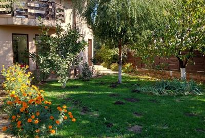 Casa de vanzare Domnesti , Teghes - Vila individuala P+1 , Teren 504 mp - 2