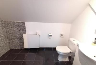 Apartament cu 3 camere - curte cu foisor + spatiu parcat masina - 9