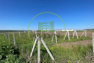 Teren agricol intravilan de 6215 mp, în Răcarii de Jos